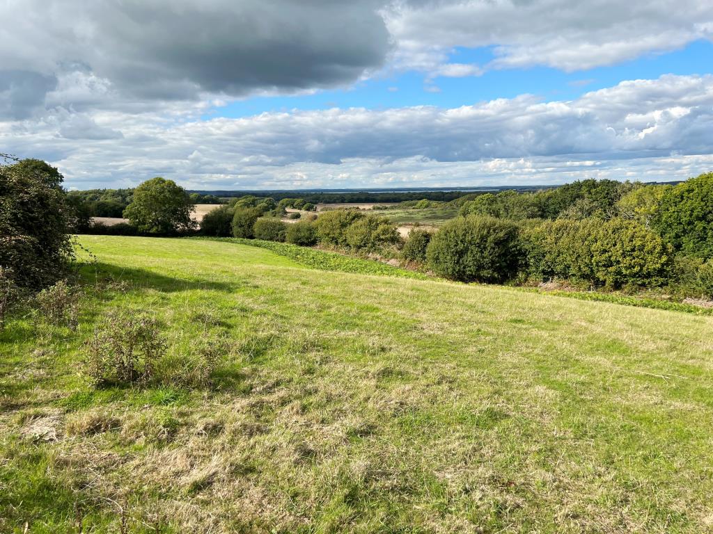 Lot: 90 - FREEHOLD BARN WITH PLANNING FOR RESIDENTIAL CONVERSION ON A PLOT OF EIGHT AND A HALF ACRES - View at barn with planning for sale at auction